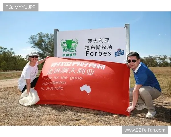 探索澳亚国际下载：畅享全球精彩内容的最佳选择